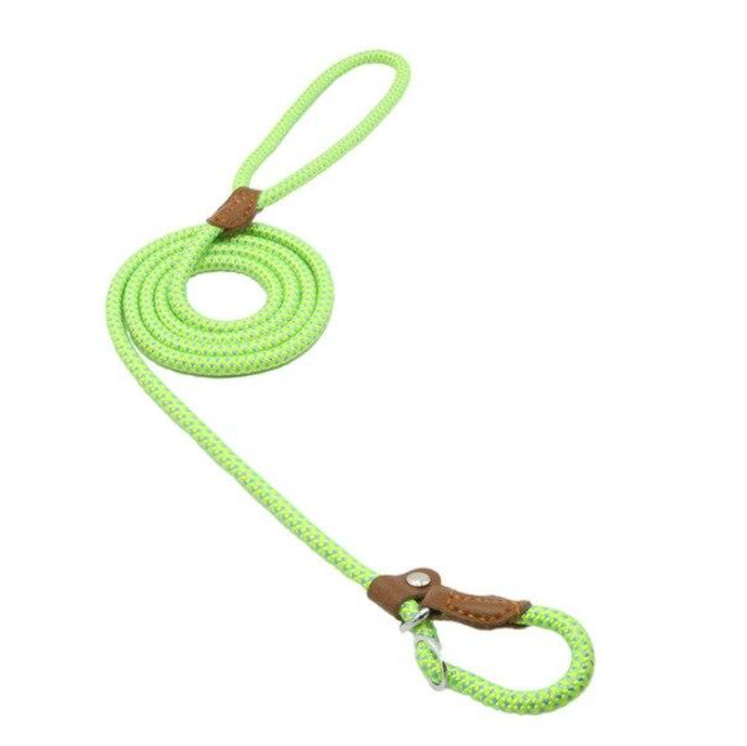 Nylon Dog Leash & Collar Set – Adjustable Pet Walking Gear