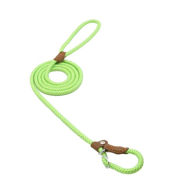 Nylon Dog Leash & Collar Set – Adjustable Pet Walking Gear