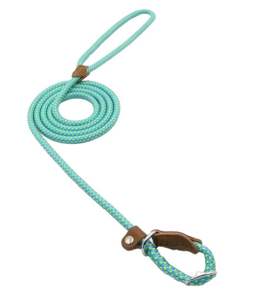Nylon Dog Leash & Collar Set – Adjustable Pet Walking Gear