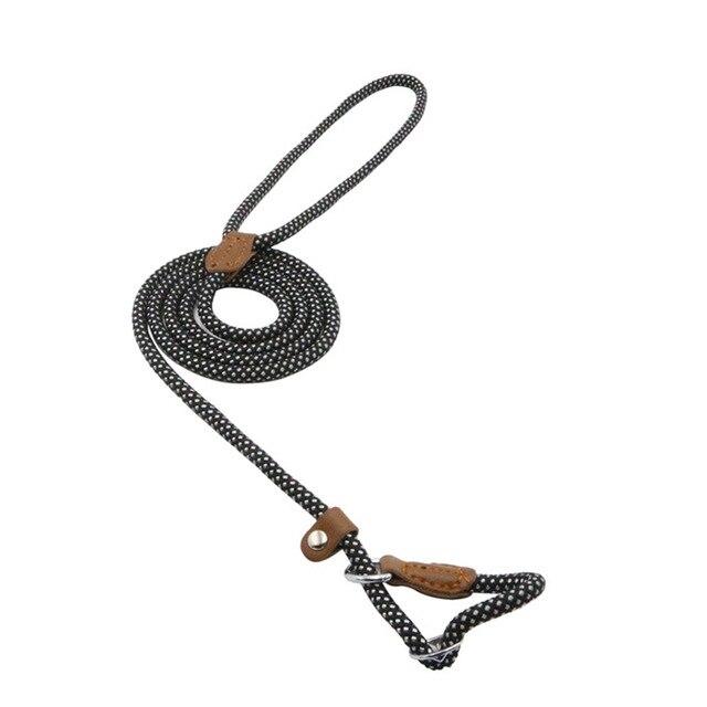Nylon Dog Leash & Collar Set – Adjustable Pet Walking Gear