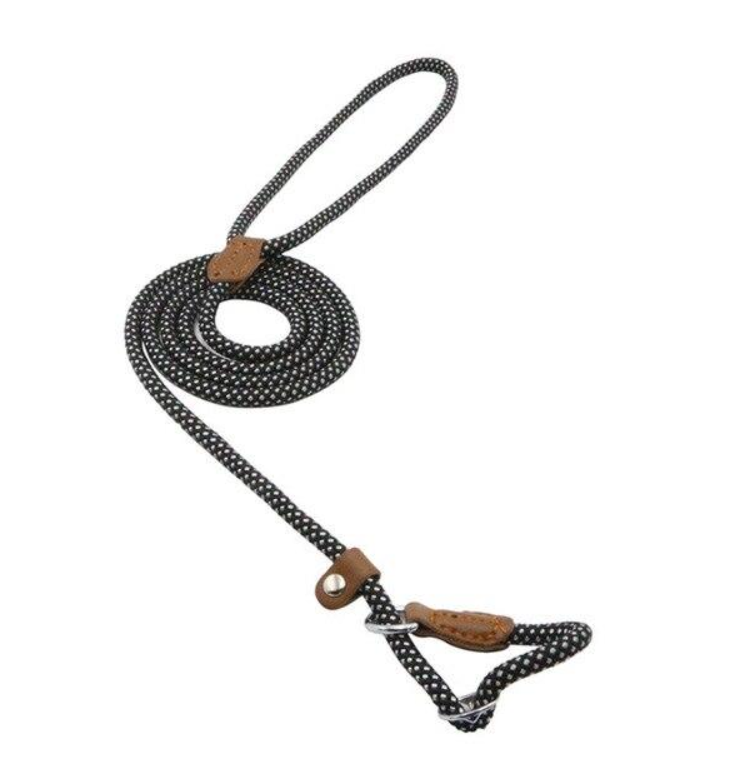 Nylon Dog Leash & Collar Set – Adjustable Pet Walking Gear