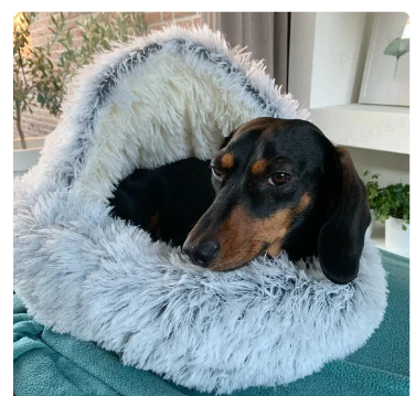 2-in-1 Foldable Pet Bed & Sofa – Soft Plush for Dogs & Cats