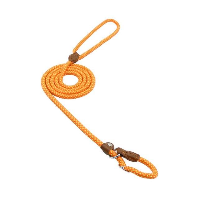 Nylon Dog Leash & Collar Set – Adjustable Pet Walking Gear
