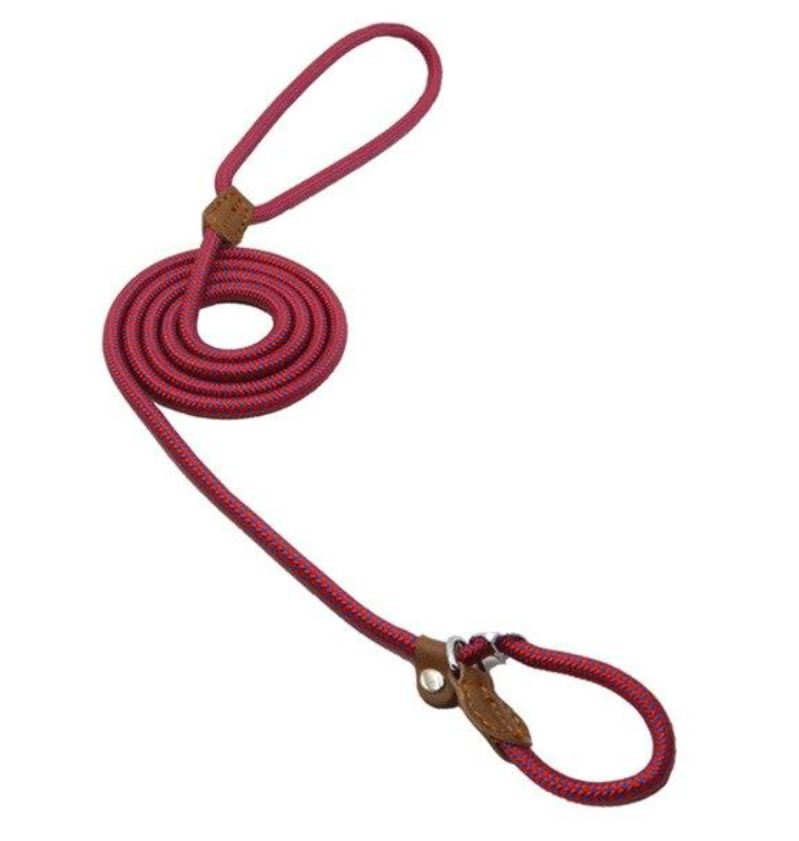 Nylon Dog Leash & Collar Set – Adjustable Pet Walking Gear