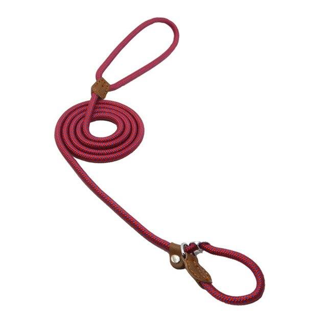 Nylon Dog Leash & Collar Set – Adjustable Pet Walking Gear