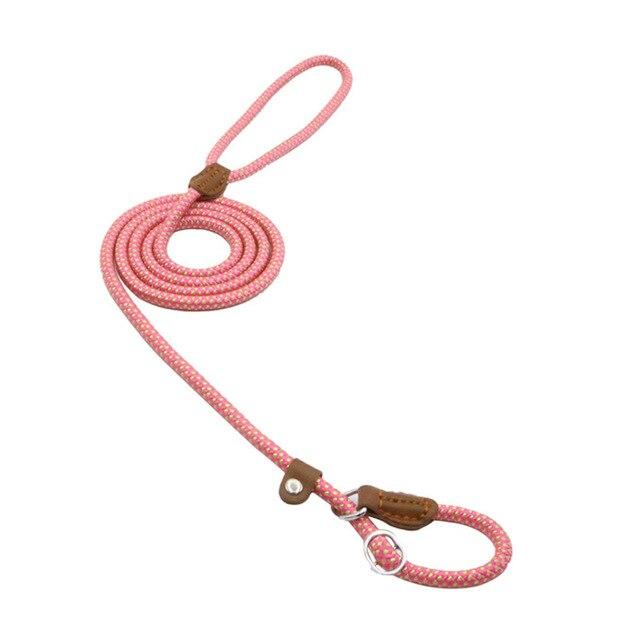 Nylon Dog Leash & Collar Set – Adjustable Pet Walking Gear