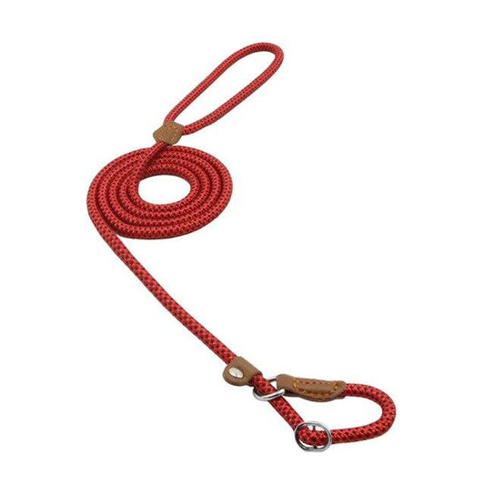Nylon Dog Leash & Collar Set – Adjustable Pet Walking Gear