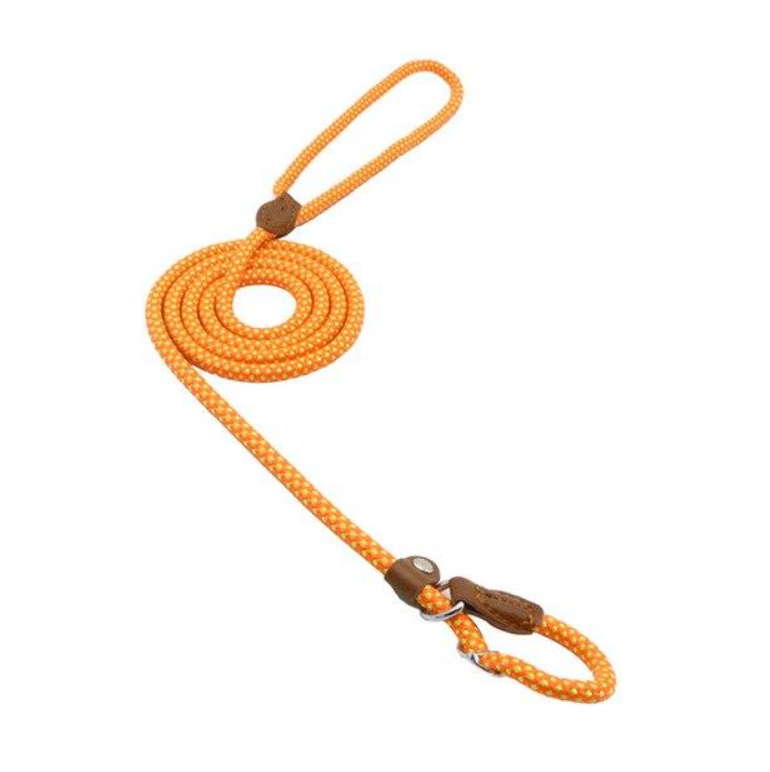 Nylon Dog Leash & Collar Set – Adjustable Pet Walking Gear
