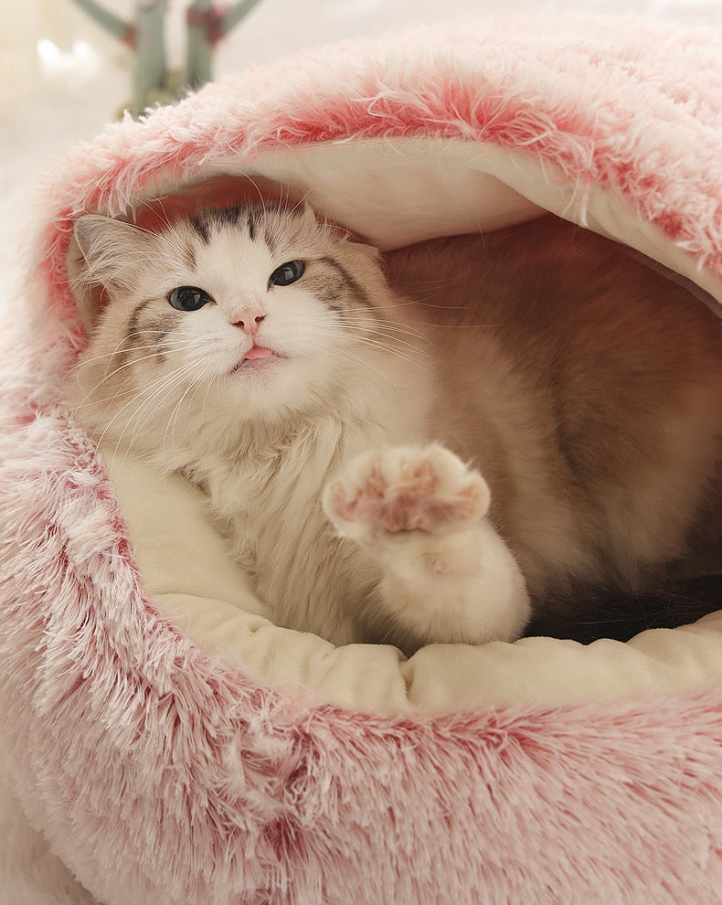 2-in-1 Foldable Pet Bed & Sofa – Soft Plush for Dogs & Cats