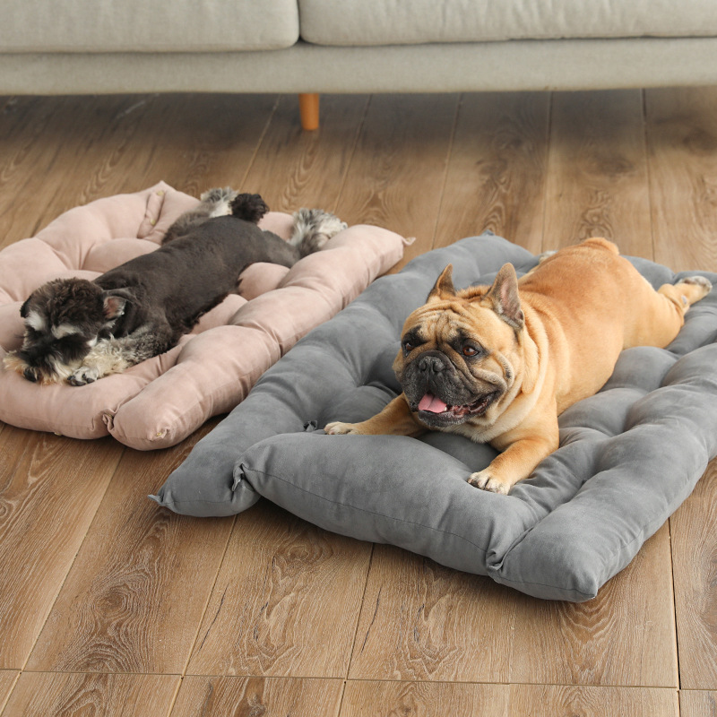 Folding Pet Nest Sofa Bed | Cozy Cat Bed in Multiple Sizes & Colors