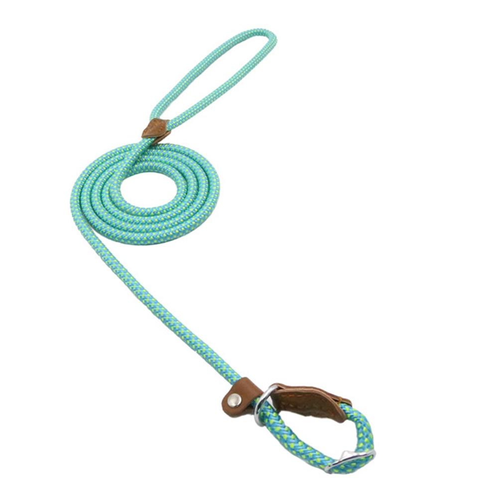 Nylon Dog Leash & Collar Set – Adjustable Pet Walking Gear